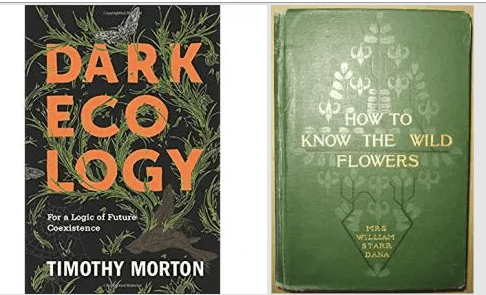 Screen Shot 2018-09-12 at 2.41.23 AM