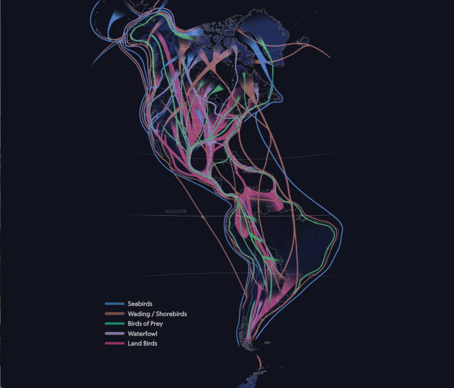 Screen Shot 2018-11-08 at 5.06.56 AM.png