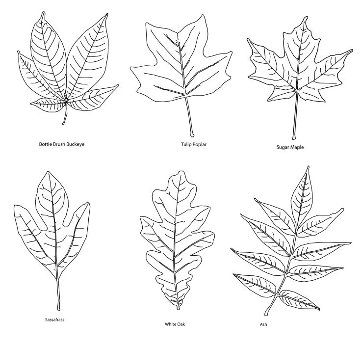 Screen Shot 2018-11-15 at 4.21.58 AM