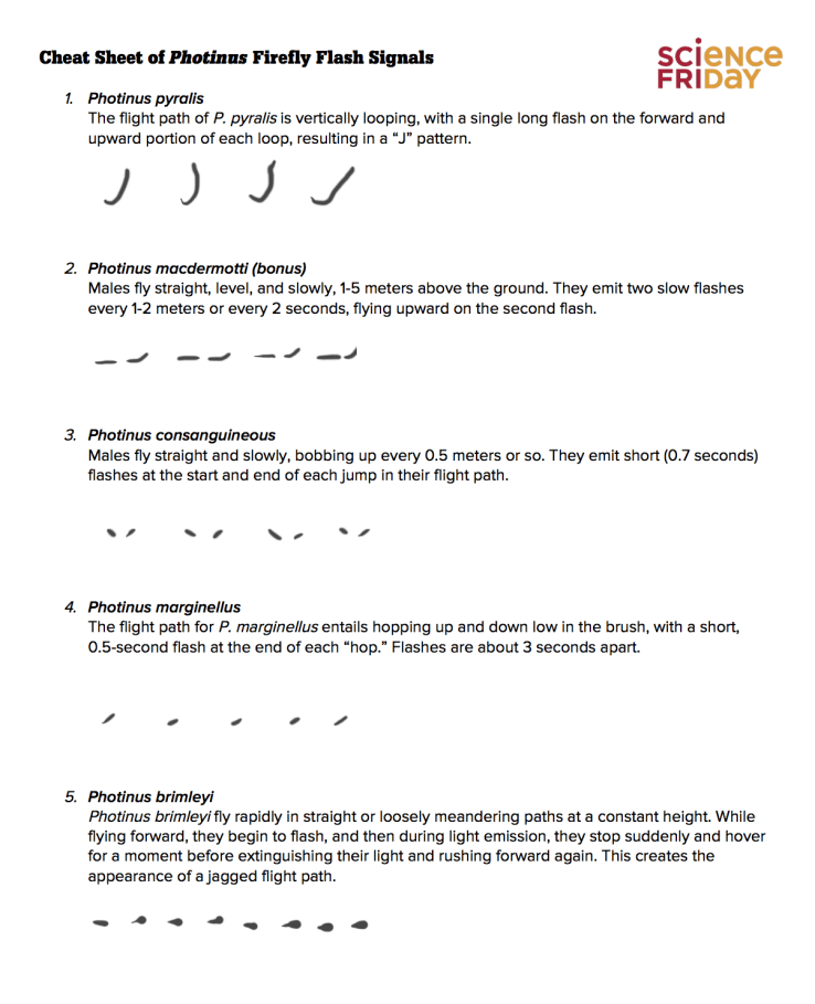 Screen Shot 2018-12-09 at 5.36.26 PM