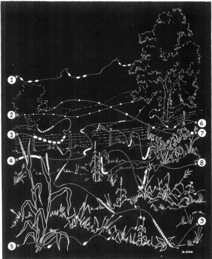 Screen Shot 2018-12-09 at 5.38.04 PM.png