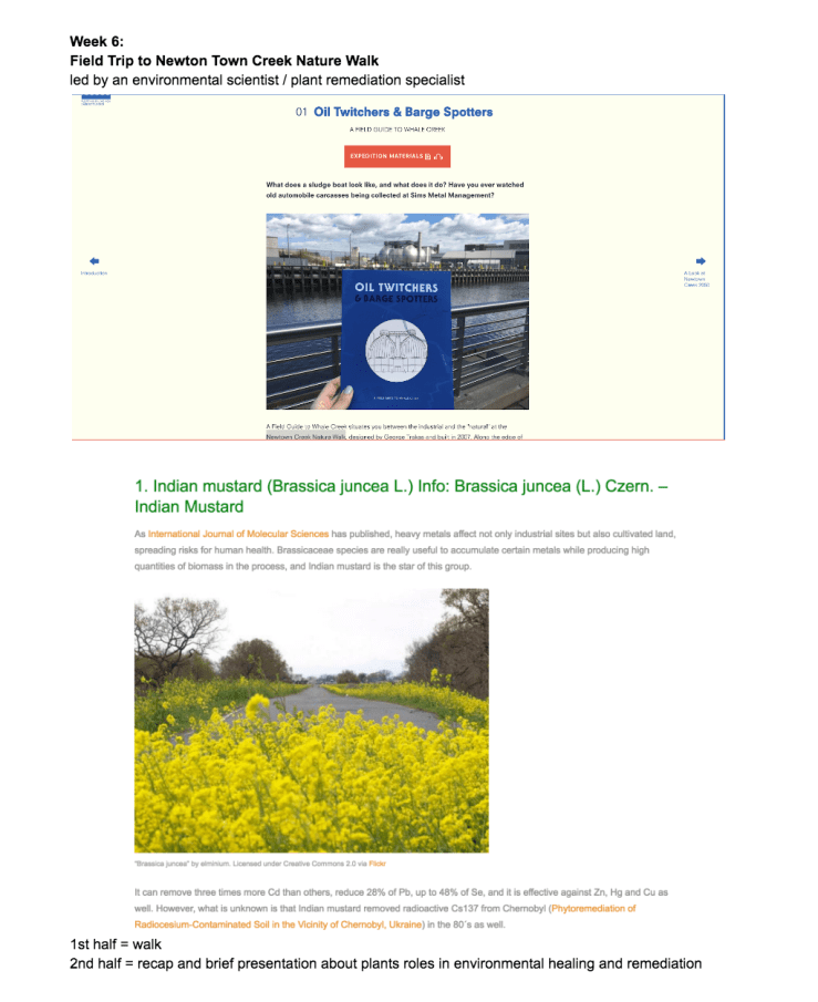 Screen Shot 2019-02-16 at 12.53.40 AM