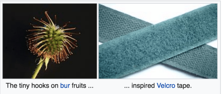 Screen Shot 2019-03-15 at 3.33.35 AM.png