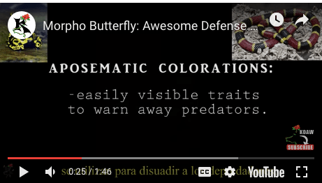 Screen Shot 2019-03-15 at 3.39.57 AM