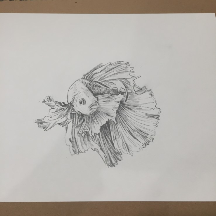 E64DA733-EF7A-4187-936E-26E0F3C2F7A6