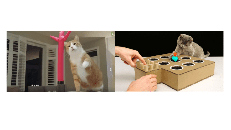 Screen Shot 2019-05-13 at 1.58.44 PM.png