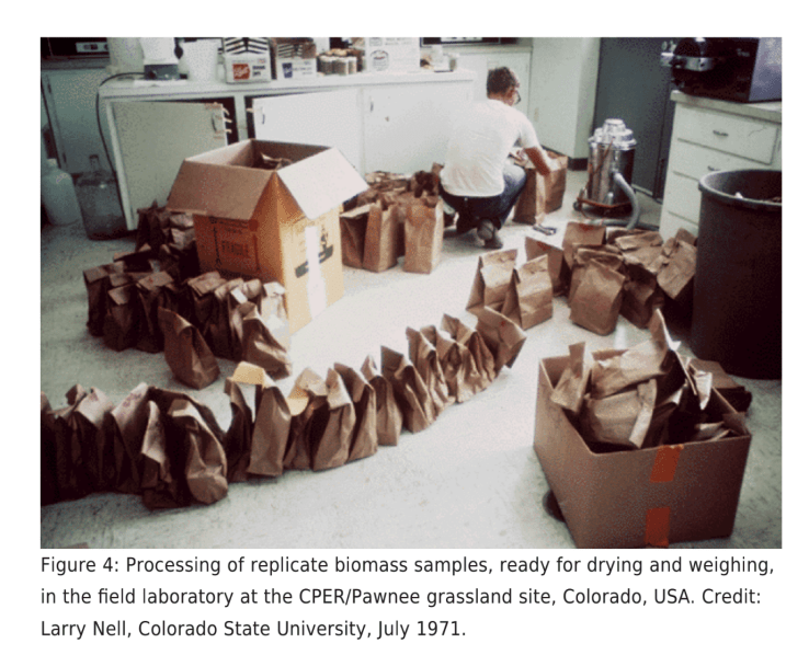 Screen Shot 2019-11-25 at 7.14.57 PM.png