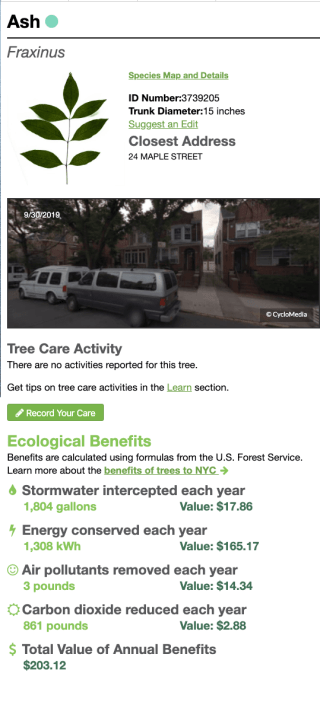 Screen Shot 2020-03-12 at 1.48.52 PM