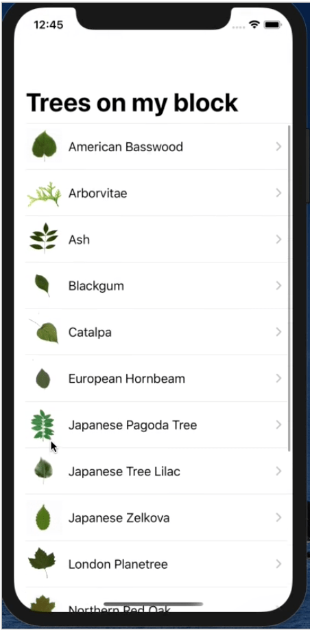 Screen Shot 2020-03-26 at 2.15.58 AM