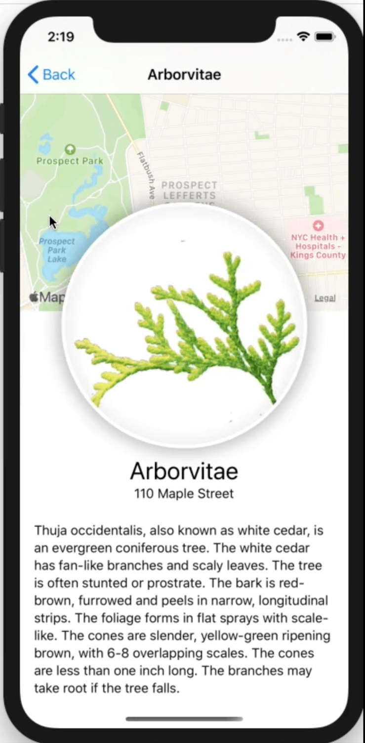 Screen Shot 2020-03-26 at 3.09.00 PM